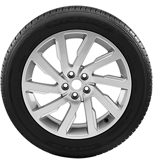 NT421Q tire picture - sidewall view NT421Q tire picture - sidewall view